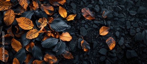 Autumn leaves with blackened and yellow hues set against a copy space image. © meristock