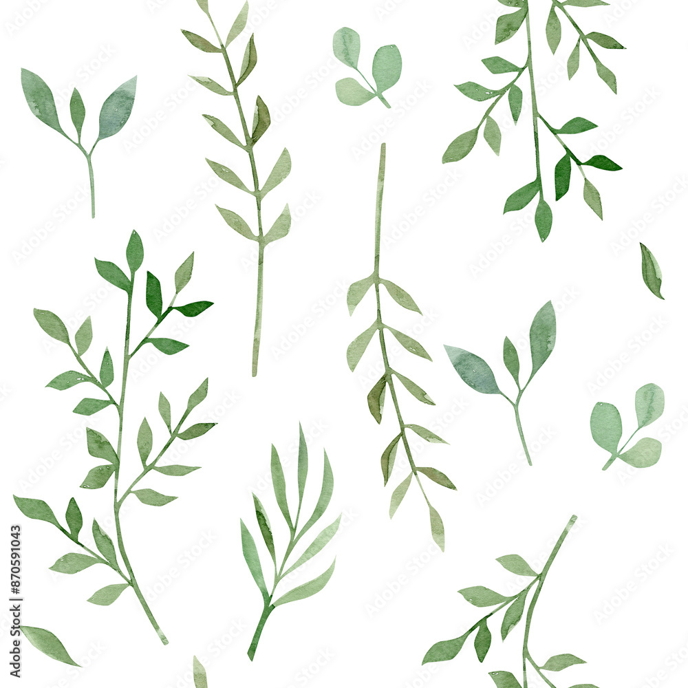 Fototapeta premium Plant pattern on white background. Watercolor hand-drawn illustration