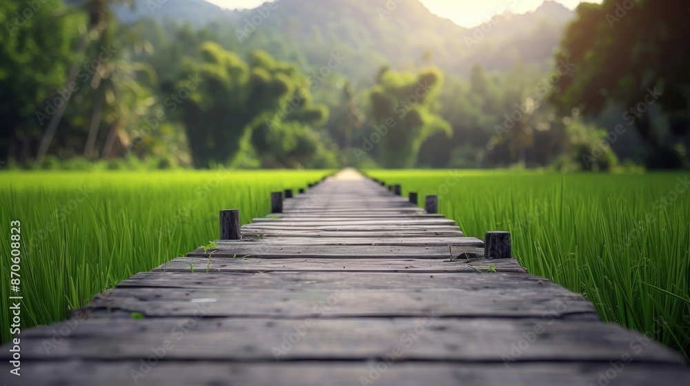 Obraz premium A wooden pathway stretches through a lush green field, leading to distant trees and mountains, bathed in sunlight.