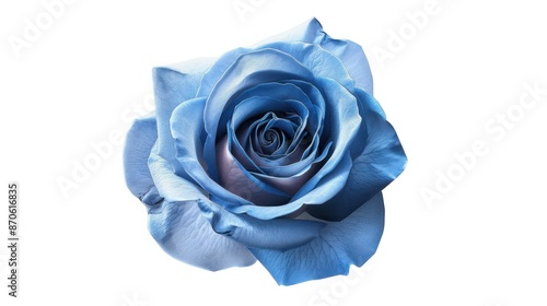 Fototapeta Naklejka Na Ścianę i Meble -  A single, photorealistic blue rose in full bloom.