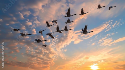 Spectacular Geese Migration Flight at Sunset Stock Photo © AnimalAI