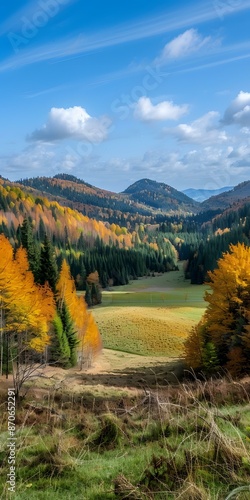 Colorful autumn landscape with blue sky and green, yellow and orange trees photo