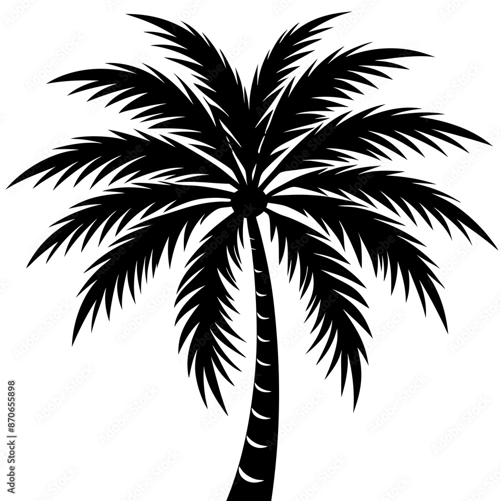 Silhouette of palm tree vector illustration Silhouette of palm tree vector illustration