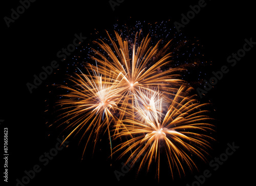 Wallpaper Mural DIfferent colros and  types of fireworks in the sky background Torontodigital.ca