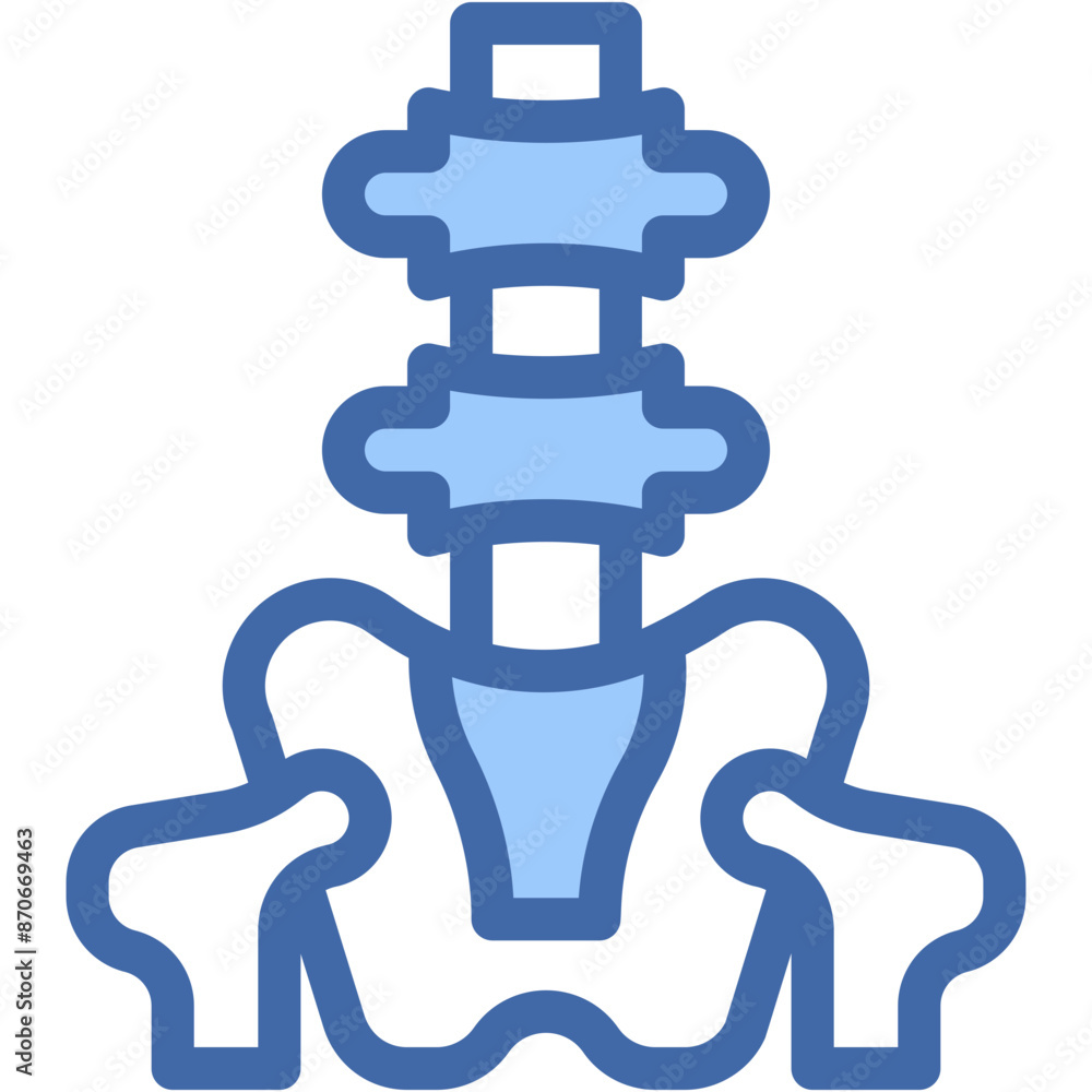 Spine, Spine card, Biology, Human Bone, Body Part Icon Spine, Spine card, Biology, Human Bone, Body Part Icon