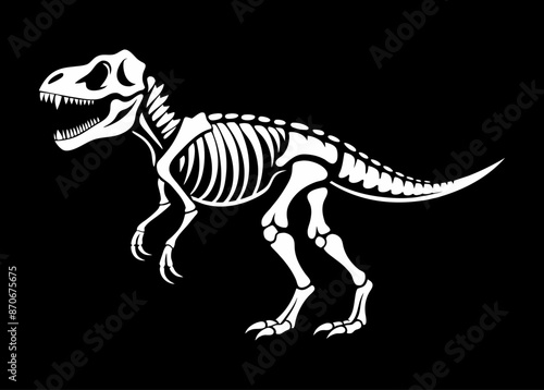 A T-Rex Dinosaur Skeleton
