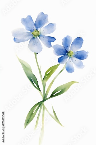 Minimalist Watercolor Blue Wildflowers