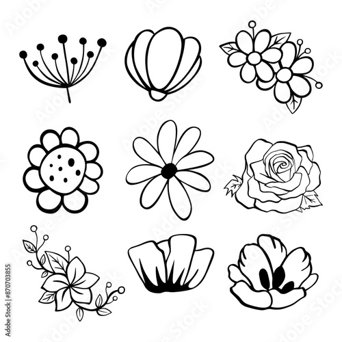 Black line doodle flowers and leaves on white background. Vector illustration about nature.