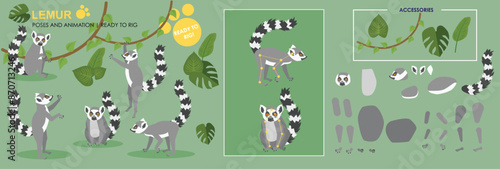 Lemur, animation character in layers ready to animate with poses and accessories. Cute wildlife, animal, rig ready jungle creatures. 