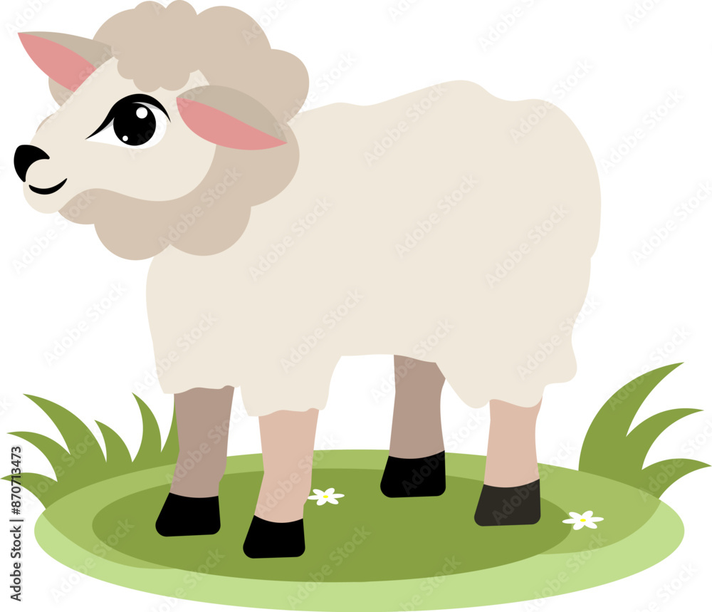 Fototapeta premium Farm Animals. Cute sheep standing on green grass on a white background. Baby flat vector illustration.