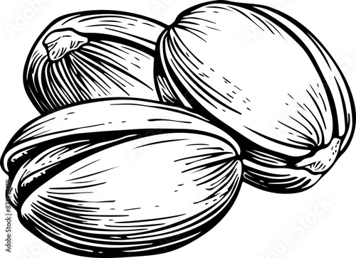 Hand drawn pistachio clipart design illustration