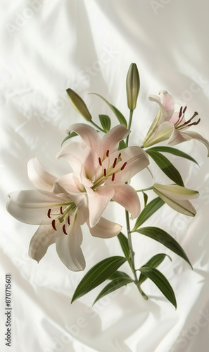 Bouquet of White Lilies with Pink Hues photo