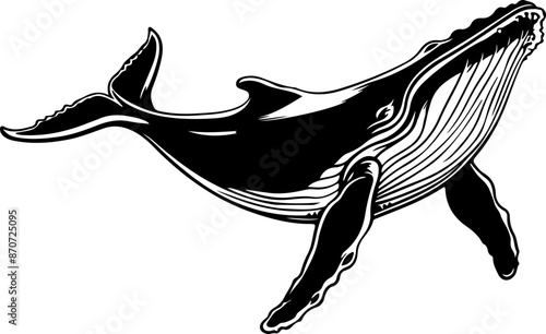 Whale drawing clipart design illustration