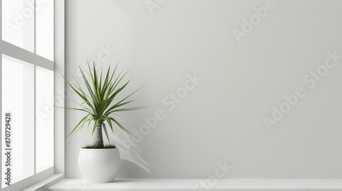 Small indoor plant next to window with blank space for text © Emin