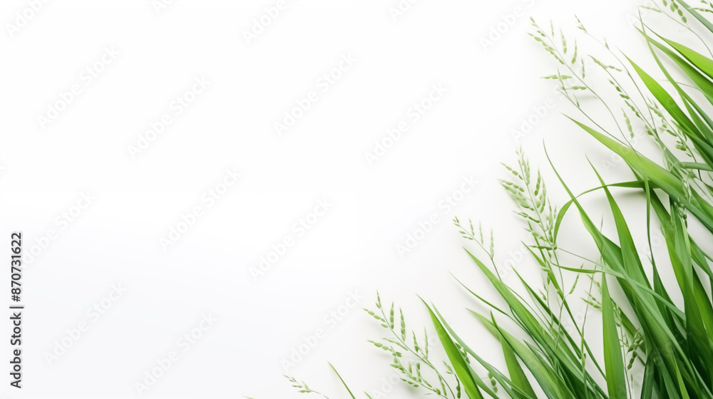 Obraz premium A white background with a green grass border