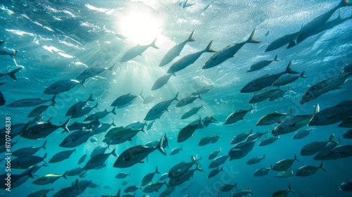 Sustainable seafood practices protect marine ecosystems, preserving ocean biodiversity for future generations.