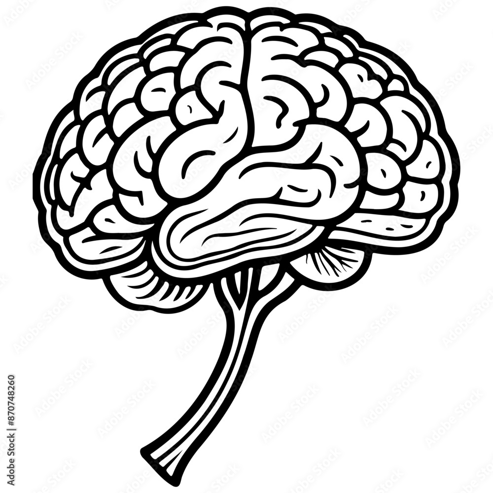 Fototapeta premium brain drawing, line head, line art black realistic sketches painting