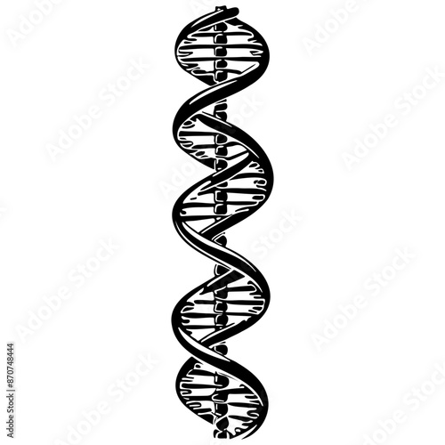 cartoon dna drawing, line head, line art black realistic sketches painting