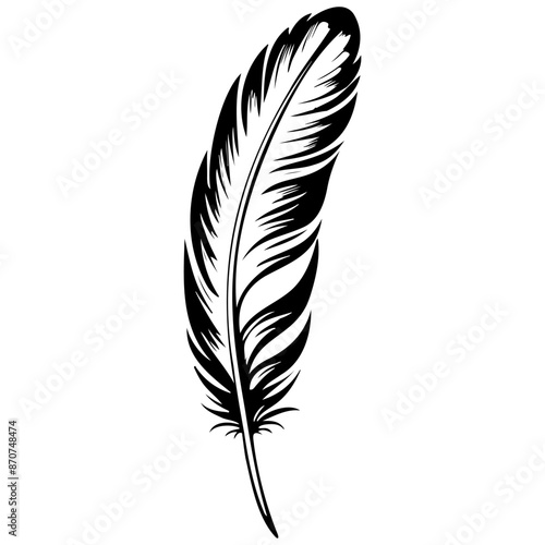 cartoon feather monochrome outline drawing, realistic tattoo painting on transparent background