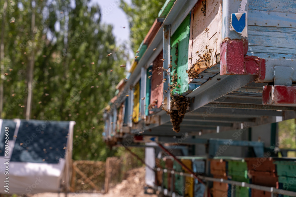 A truck is parked next to a row of beehives A truck is parked next to a row of beehives