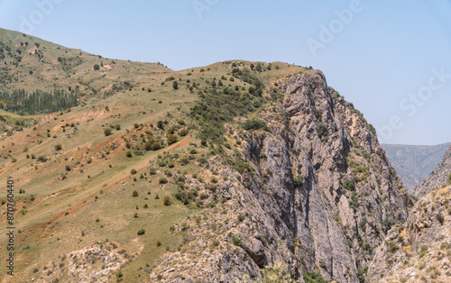 A rocky hillside with a few trees and a clear blue sky