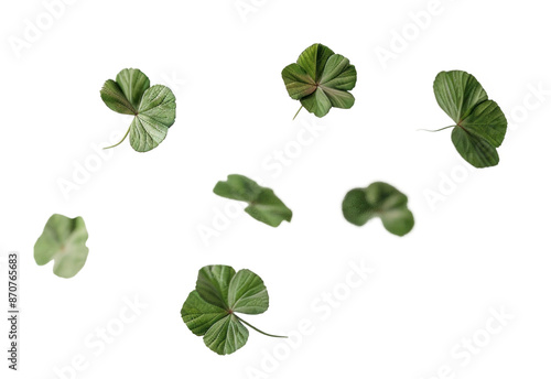 PNG Floating green clover leaves art