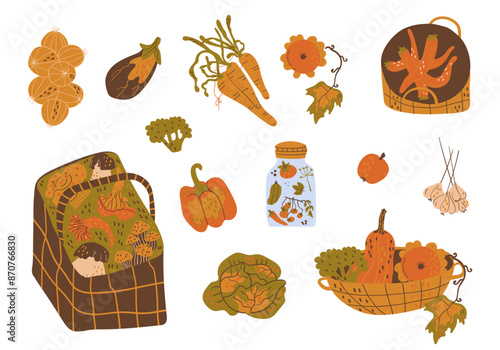 set harvest autumn vegetables