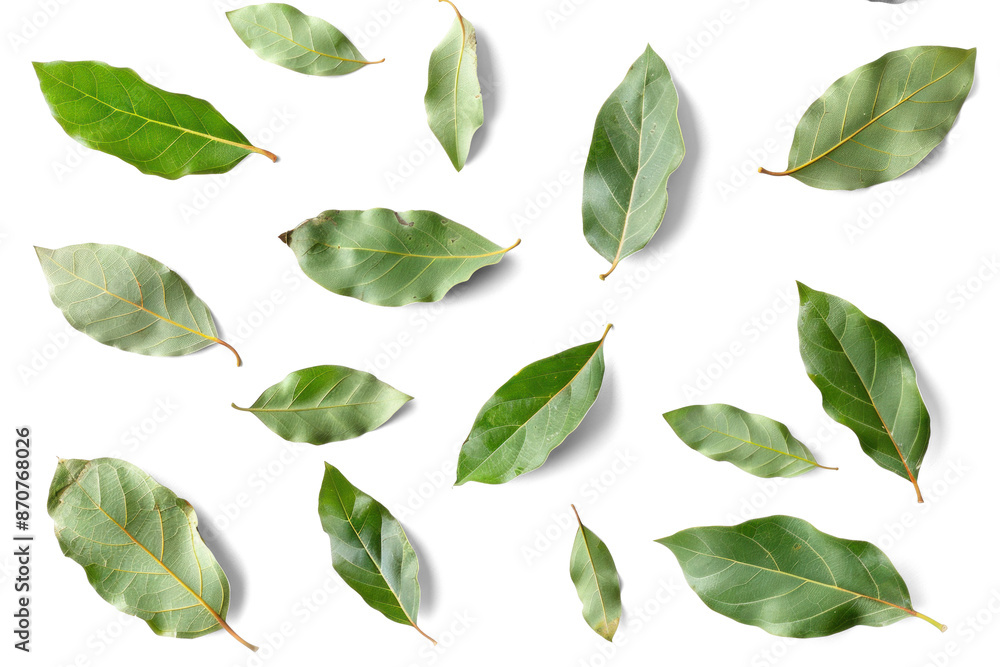Scattered Green Leaves on Transparent Background Scattered Green Leaves on Transparent Background