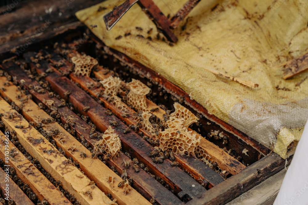 A wooden box with honeycomb frames and a yellow cloth covering it A wooden box with honeycomb frames and a yellow cloth covering it