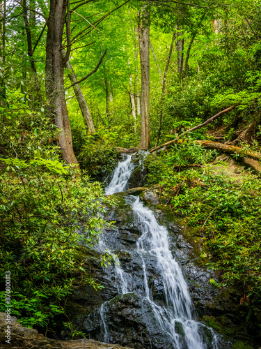 Cataract Falls in late spring, early summer in the Great Smoky Mountains National Park in Tennessee.