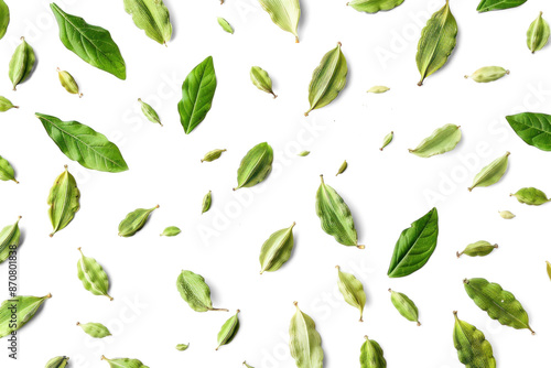 Green Herbs and Spices on Transparent Background