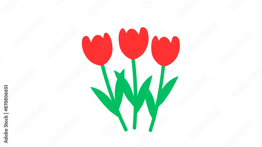 Beautiful Flower Beautiful Flower