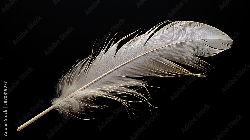 Obraz premium details simple dark background