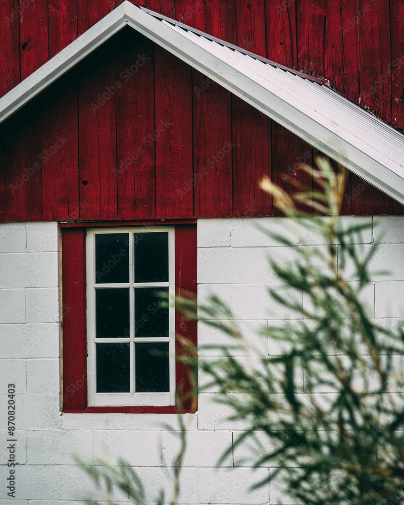 window of an old red and white barn with green plants in the foreground window of an old red and white barn with green plants in the foreground
