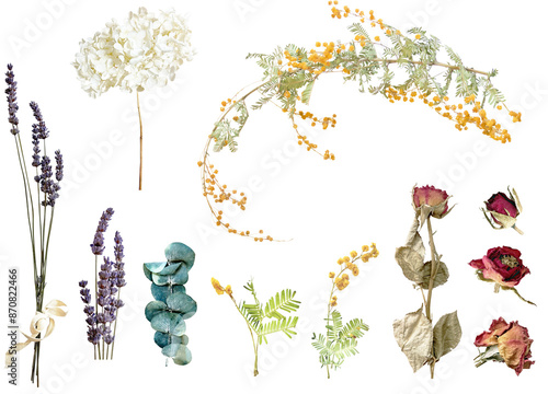 切り抜き透過素材セットードライフラワー3