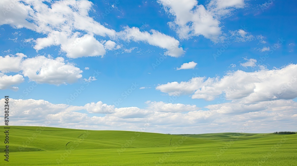 Fototapeta premium nature white clouds blue sky