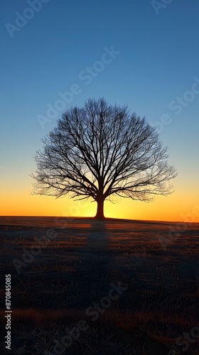 Lonely Tree in Field at Sunset © duyina1990