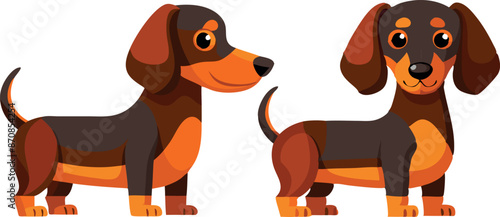 Cute cartoon dachshund dogs on white background, playful and cheerful illustration