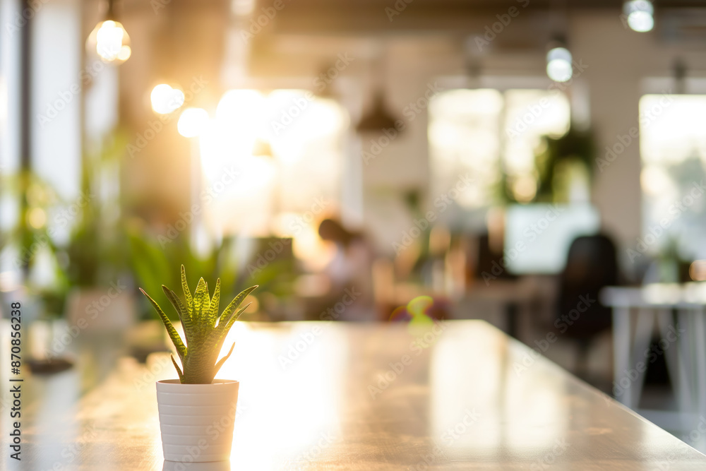 Modern Office with Sunlit Decor Featuring a Small Potted Plant on a Desk Modern Office with Sunlit Decor Featuring a Small Potted Plant on a Desk