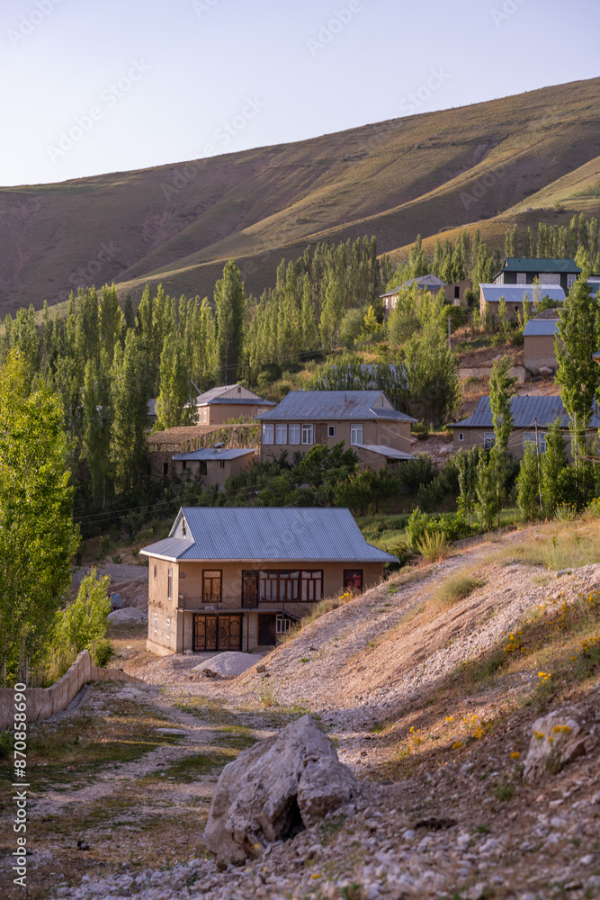A small village with houses and trees on a hill