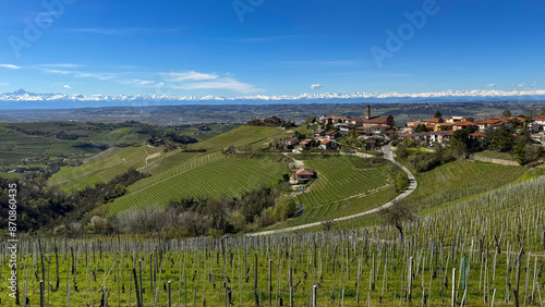 Italian landscape with vineyards