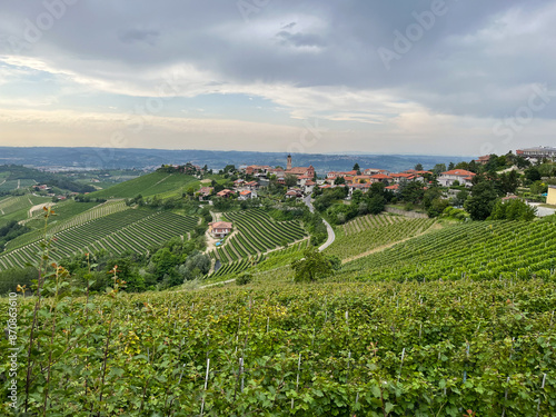 Italian landscape with vineyards