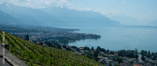 Swiss landscape with vineyards