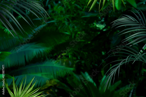 Tropical elegant background arranged from exotic emerald leaves. Design vector. Paradise plants, greenery chic card. Stylish fashion banner. Wedding template. Leaves are not cut. Isolated and editable