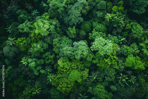 A drone capturing a bird’s eye view of a lush green forest © Venka