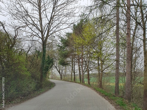 A country narrow, minor road, winding through a spring landscape