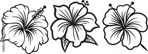 Bundle of hibiscus flower line art vector illustrations set isolated on transparent background. Modern minimalist design for logo, tattoo, wall art.