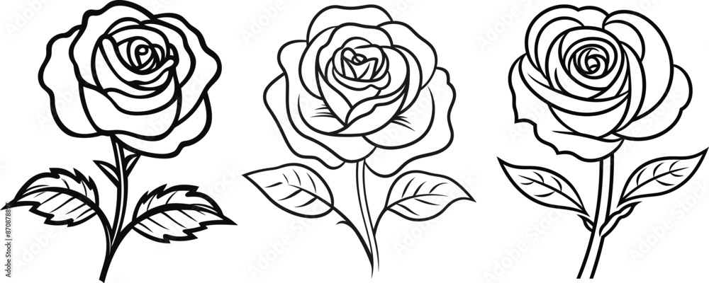 A bundle of rose flower line art vector illustrations set isolated on a transparent background. Modern minimalist design for logo, tattoo, wall art, poster, packaging, stickers. Black ink sketch. A bundle of rose flower line art vector illustrations set isolated on a transparent background. Modern minimalist design for logo, tattoo, wall art, poster, packaging, stickers. Black ink sketch.
