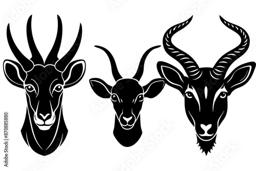 addax aye aye bandicoot silhouette vector illustration  photo