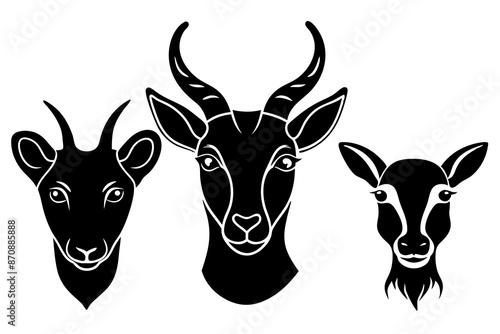 addax aye aye bandicoot silhouette vector illustration  photo